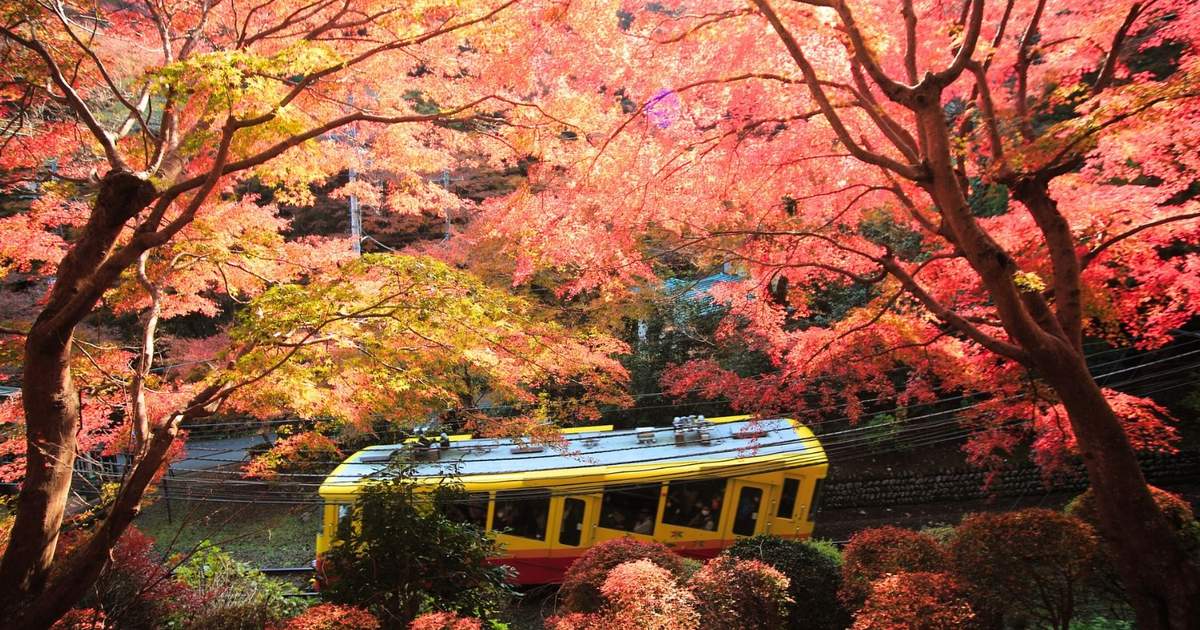 光り葉の宮殿　日4枚 光り葉の宮殿/Gilt-Leaf Palace》[LRW] 土地R | 日本最大級 MTG